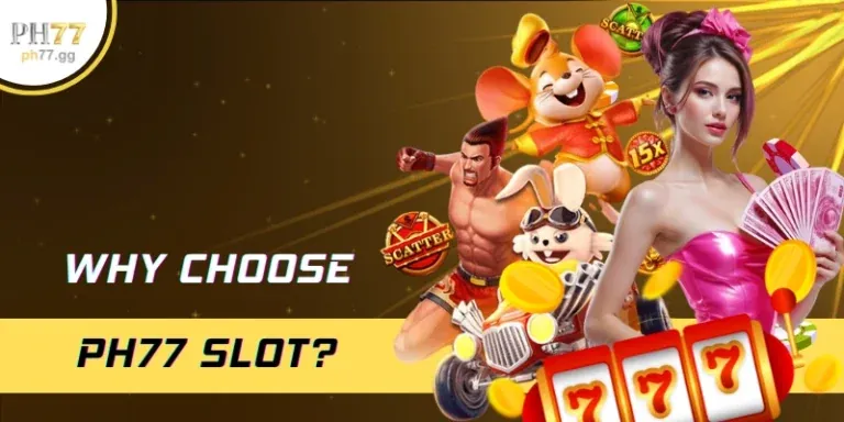 Chương trình hoàn trả hàng tuần cho cá cược thể thao tại st666 casino.