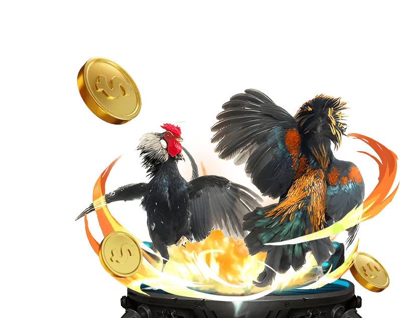 Hình ảnh minh họa các chính sách và quy định của st666 casino