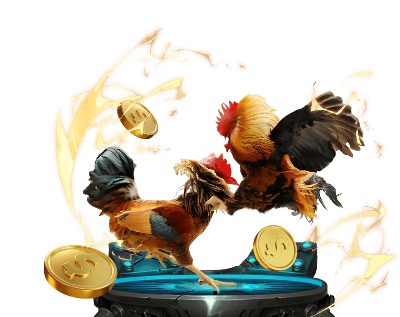 Liên hệ hỗ trợ st666 casino về quyền riêng tư