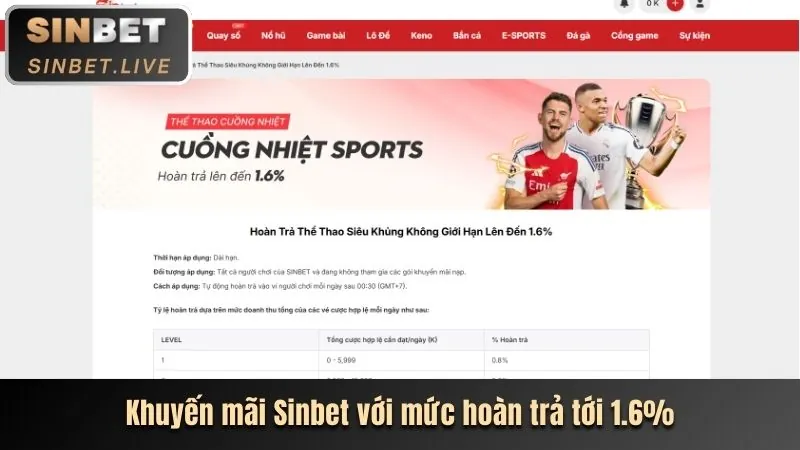 Hình ảnh tổng hợp các môn thể thao khác như bóng chuyền, cầu lông.